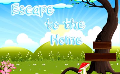Escape to the Home