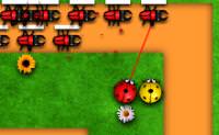 Insects Tower Defense
