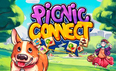 Picnic Connect