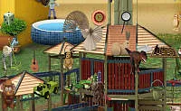 Playground Edition