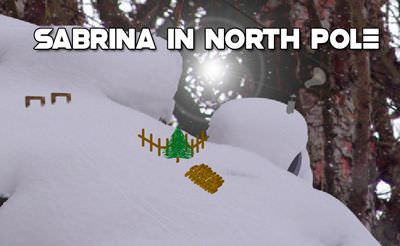 Sabrina In North Pole