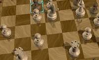 Shaag Chess 3D