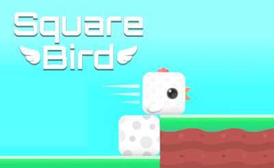 Square Bird