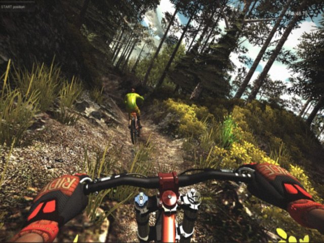 MTB Freeride Bild 2